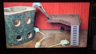 Televisor Samsung 32" UE32J5200AWXXC