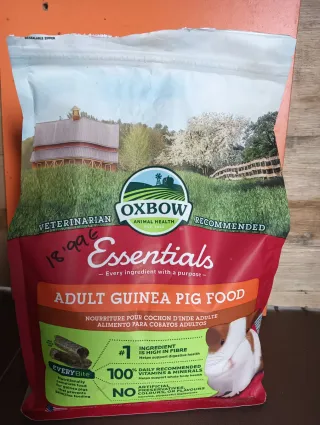 Jaula para conejo/cobaya