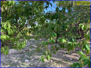 Terreno en venta en Abanilla