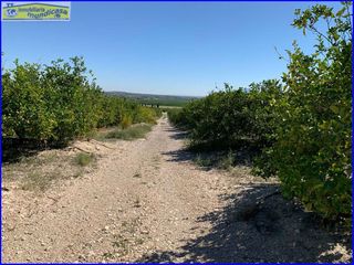 Terreno en venta en Abanilla