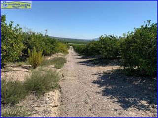 Terreno en venta en Abanilla