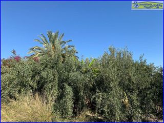 Terreno en venta en Abanilla