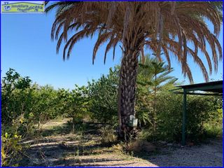 Terreno en venta en Abanilla