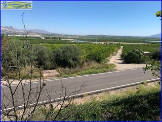 Terreno en venta en Abanilla