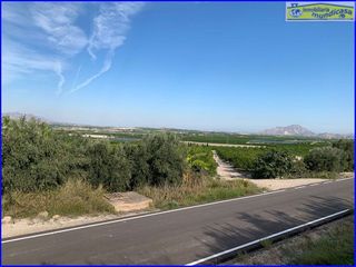 Terreno en venta en Abanilla