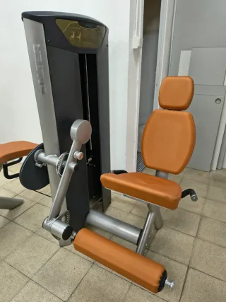 Máquina de gimnasio SALTER extensión de cuádriceps