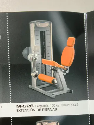 Máquina de gimnasio SALTER extensión de cuádriceps