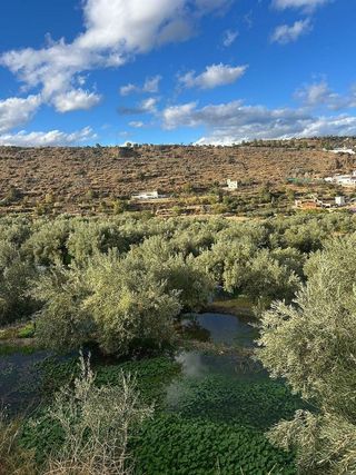 Terreno en venta en Abla