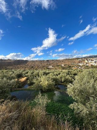 Terreno en venta en Abla