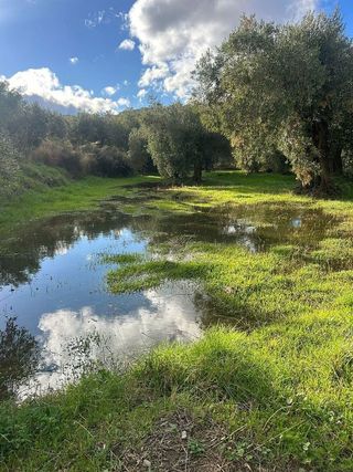 Terreno en venta en Abla
