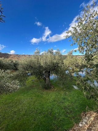 Terreno en venta en Abla