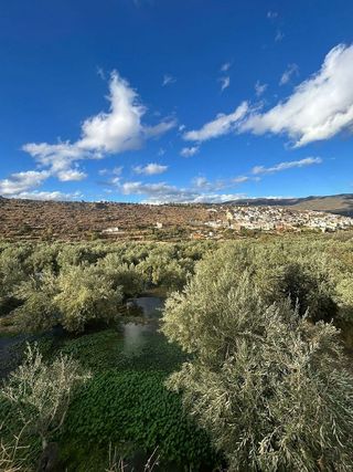 Terreno en venta en Abla