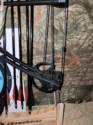 Arco de poleas 30-55lbs 296fps