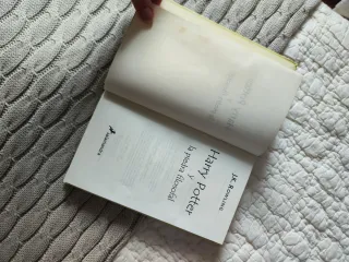 Harry Potter Y La Piedra Filosofal