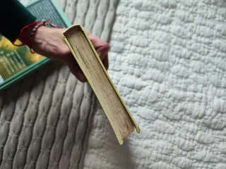 Harry Potter Y La Piedra Filosofal