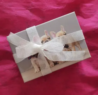 Cagnolino e Bambola Reborn