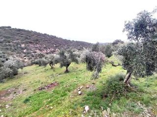 Terreno en venta en Villanueva del Rey