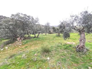 Terreno en venta en Villanueva del Rey