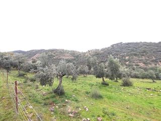 Terreno en venta en Villanueva del Rey