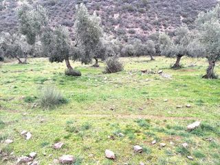 Terreno en venta en Villanueva del Rey