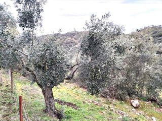 Terreno en venta en Villanueva del Rey