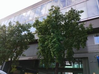 Local comercial en venta en El Cerro en Sevilla