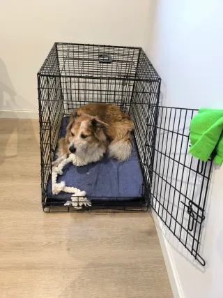 Jaula para perro plegable