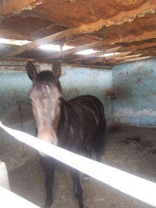 Solar en venta en Vilamarxant