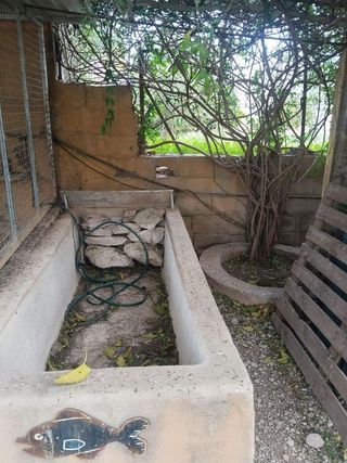 Solar en venta en Vilamarxant