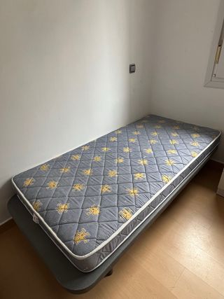 2 Somieres + 2 Colchones Individuales