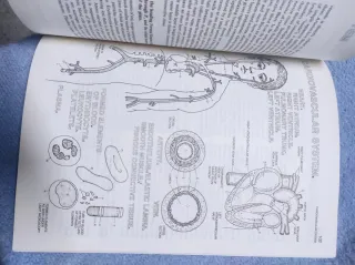 The Biology Coloring Book