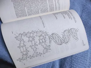 The Biology Coloring Book