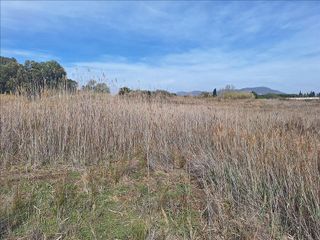 Solar en venta en Alcora, l´