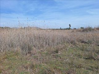 Solar en venta en Alcora, l´