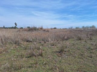 Solar en venta en Alcora, l´