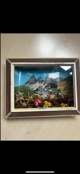 Quadro Fiori di Montagna Secchi