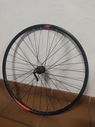 Ruedas MTB 29 (Juego)