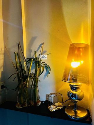 Local comercial en alquiler en El Pla de Sant Josep - L'Asil en Elche