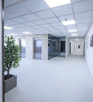 Oficina en alquiler en Campanar en Valencia