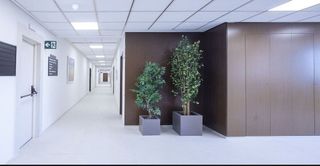 Oficina en alquiler en Campanar en Valencia