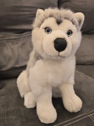Peluche Husky Siberiano 39 x 47 ctm