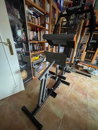 Máquina de gimnasio Perform