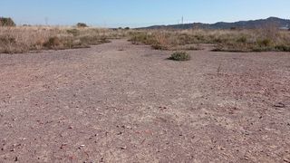 Terreno en venta en Vall d´Uixó (la)