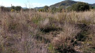 Terreno en venta en Vall d´Uixó (la)