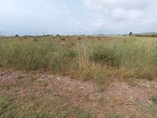 Terreno en venta en Vall d´Uixó (la)