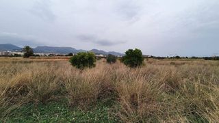 Terreno en venta en Vall d´Uixó (la)