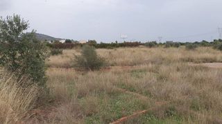 Terreno en venta en Vall d´Uixó (la)