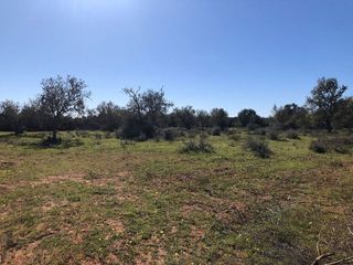 Terreno en venta en Porreres