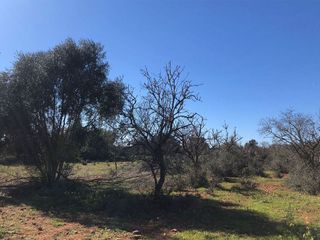Terreno en venta en Porreres