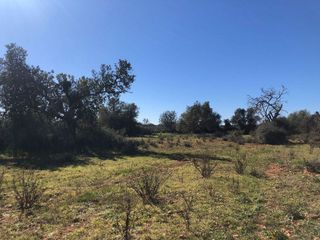 Terreno en venta en Porreres